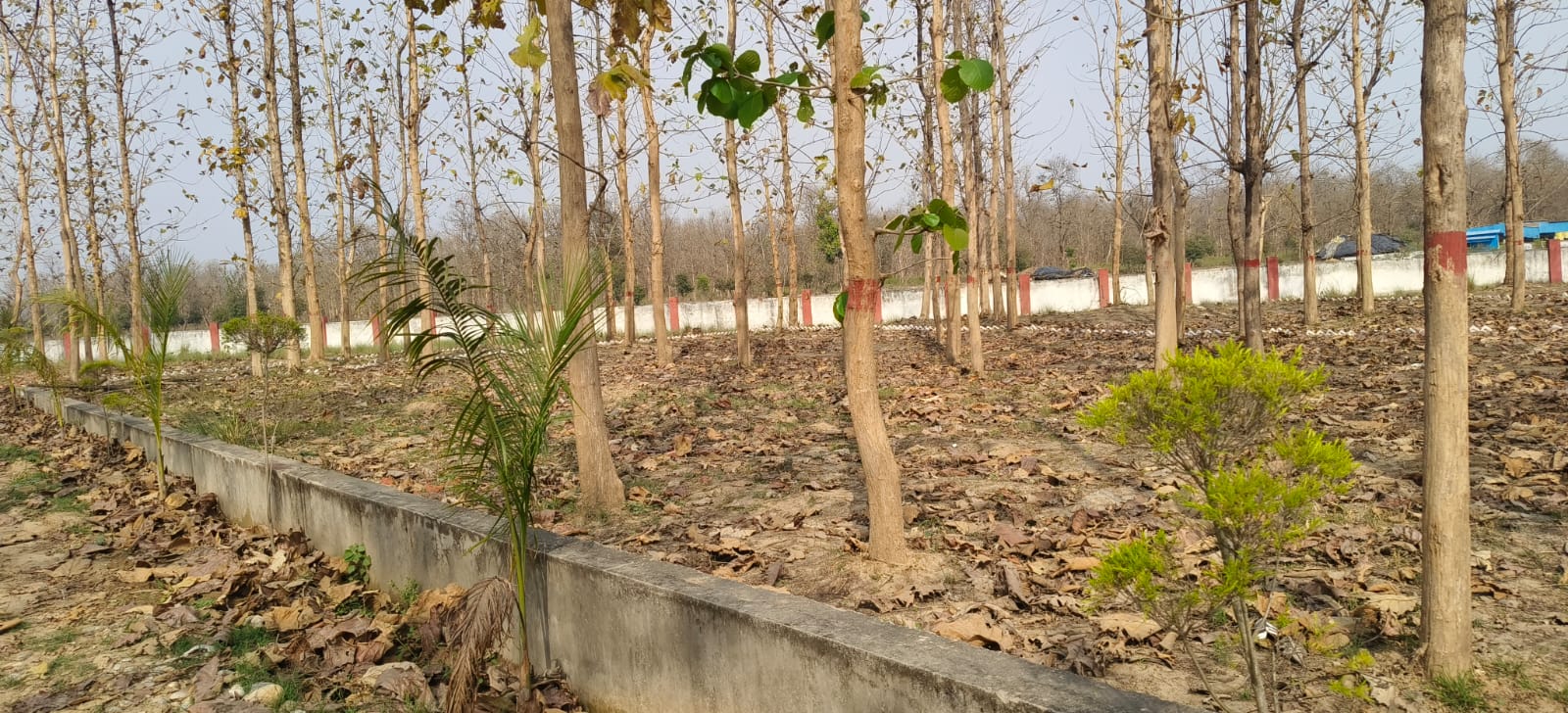 Mountain Green Valley (Phase 2 )