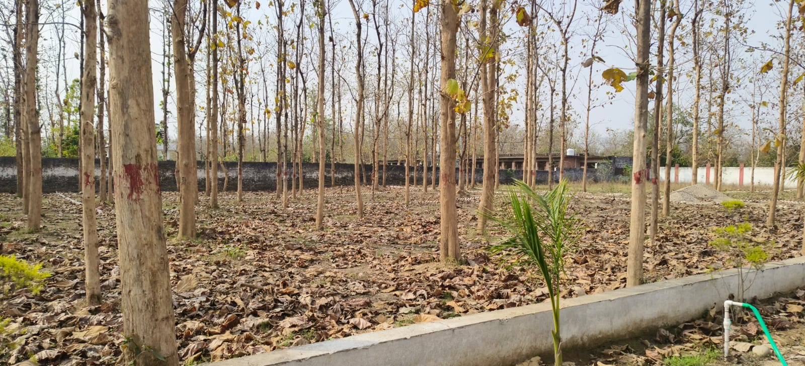 Mountain Green Valley (Phase 2 )